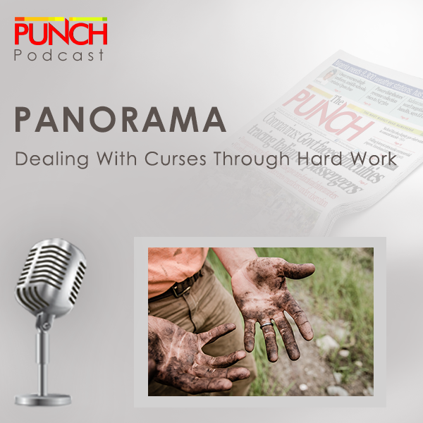 PUNCH Podcast copy